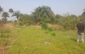 Land in Charlesville, Margibi County. #114