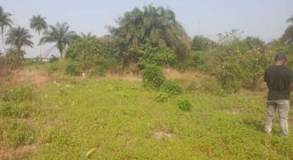 Land in Charlesville, Margibi County. #114