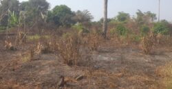 Land in Charlesville, Margibi County. #114