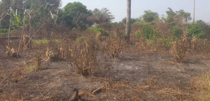 Land in Charlesville, Margibi County. #114