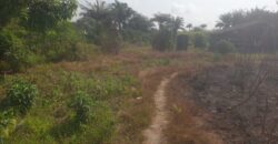 Land in Charlesville, Margibi County. #114