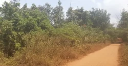Huge Farmland near Benoni Urey’s Farm #118