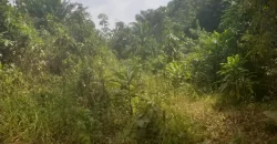 Huge Farmland near Benoni Urey’s Farm #118