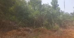 Huge Farmland near Benoni Urey’s Farm #118