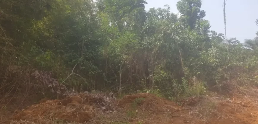 Huge Farmland near Benoni Urey’s Farm #118
