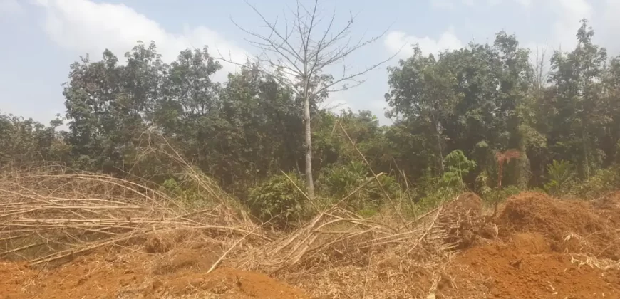 Huge Farmland near Benoni Urey’s Farm #118