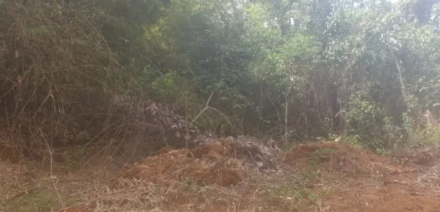 Huge Farmland near Benoni Urey’s Farm #118