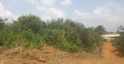 Huge Farmland near Benoni Urey’s Farm #118