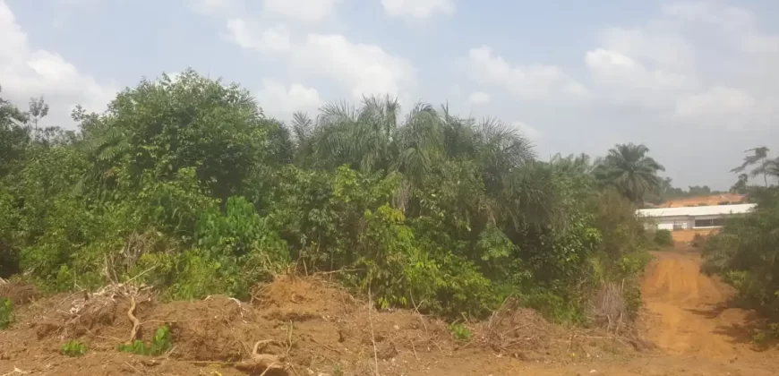 Huge Farmland near Benoni Urey’s Farm #118