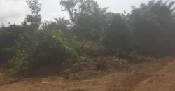 Huge Farmland near Benoni Urey’s Farm #118