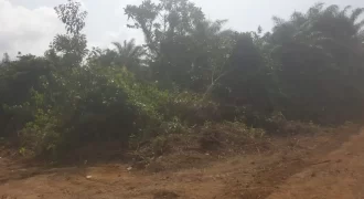 Huge Farmland near Benoni Urey’s Farm #118