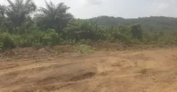 Huge Farmland near Benoni Urey’s Farm #118