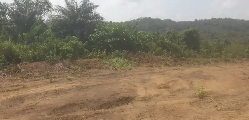 Huge Farmland near Benoni Urey’s Farm #118