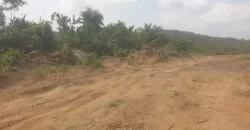 Huge Farmland near Benoni Urey’s Farm #118