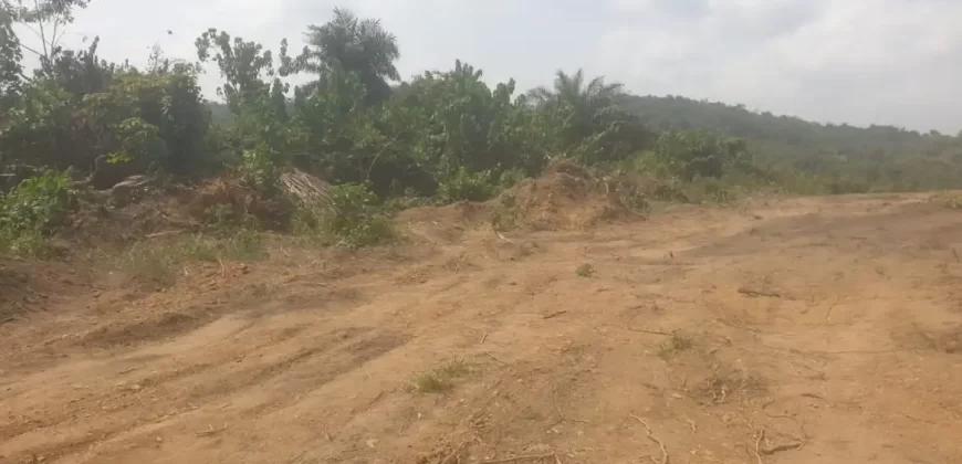 Huge Farmland near Benoni Urey’s Farm #118