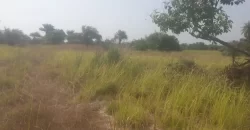 12 Acres of Dry Land Near Marshall. #116