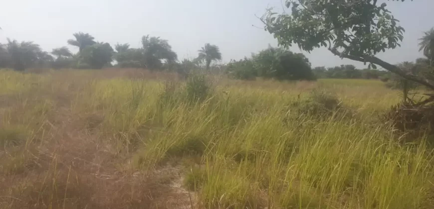 12 Acres of Dry Land Near Marshall. #116