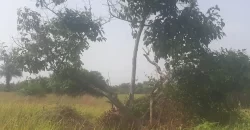 12 Acres of Dry Land Near Marshall. #116