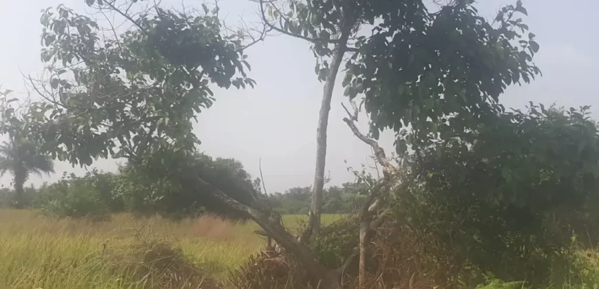 12 Acres of Dry Land Near Marshall. #116