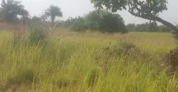 12 Acres of Dry Land Near Marshall. #116