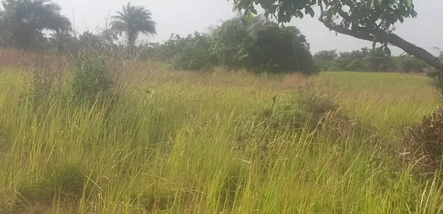 12 Acres of Dry Land Near Marshall. #116