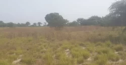 12 Acres of Dry Land Near Marshall. #116