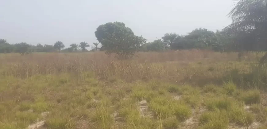 12 Acres of Dry Land Near Marshall. #116