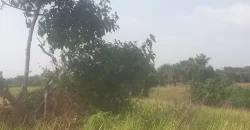 12 Acres of Dry Land Near Marshall. #116