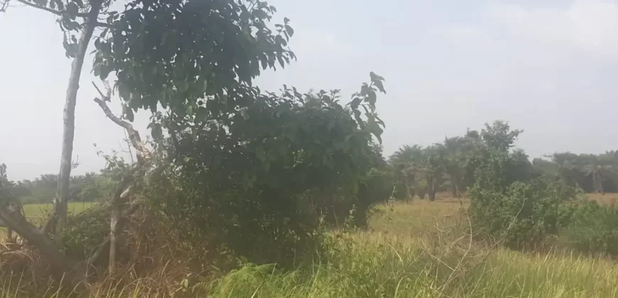 12 Acres of Dry Land Near Marshall. #116