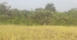 12 Acres of Dry Land Near Marshall. #116