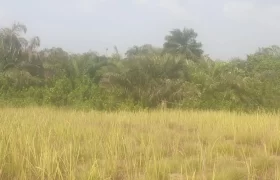 12 Acres of Dry Land Near Marshall. #116