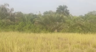 12 Acres of Dry Land Near Marshall. #116