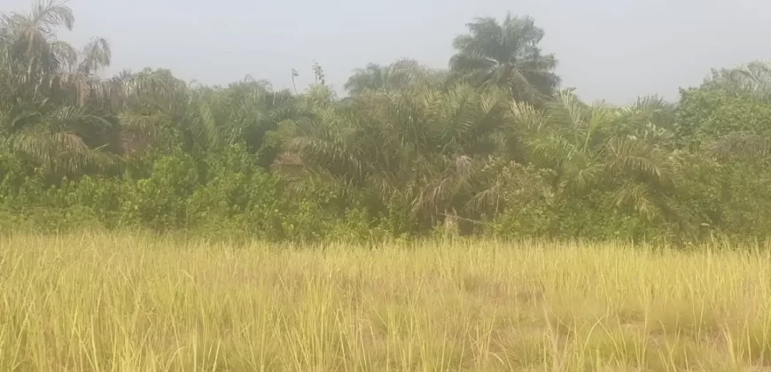 12 Acres of Dry Land Near Marshall. #116