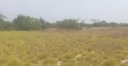 12 Acres of Dry Land Near Marshall. #116