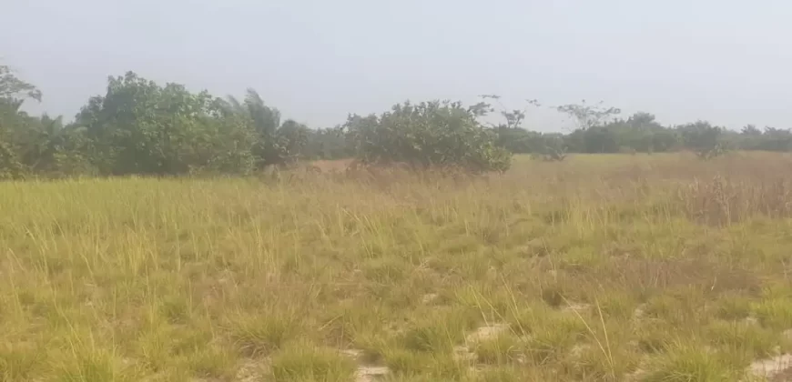 12 Acres of Dry Land Near Marshall. #116