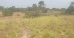 12 Acres of Dry Land Near Marshall. #116