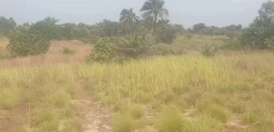 12 Acres of Dry Land Near Marshall. #116