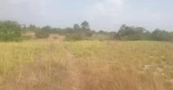 12 Acres of Dry Land Near Marshall. #116