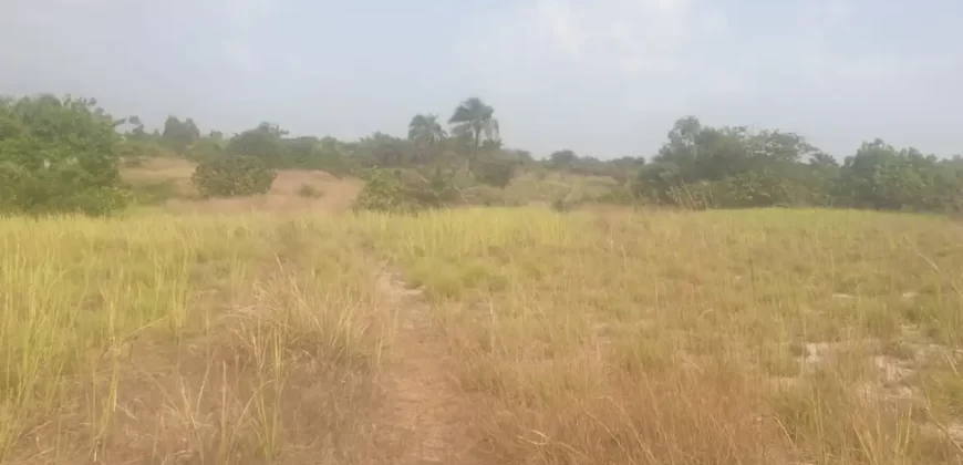 12 Acres of Dry Land Near Marshall. #116