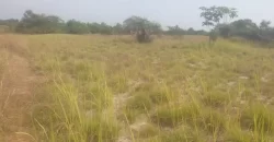 12 Acres of Dry Land Near Marshall. #116