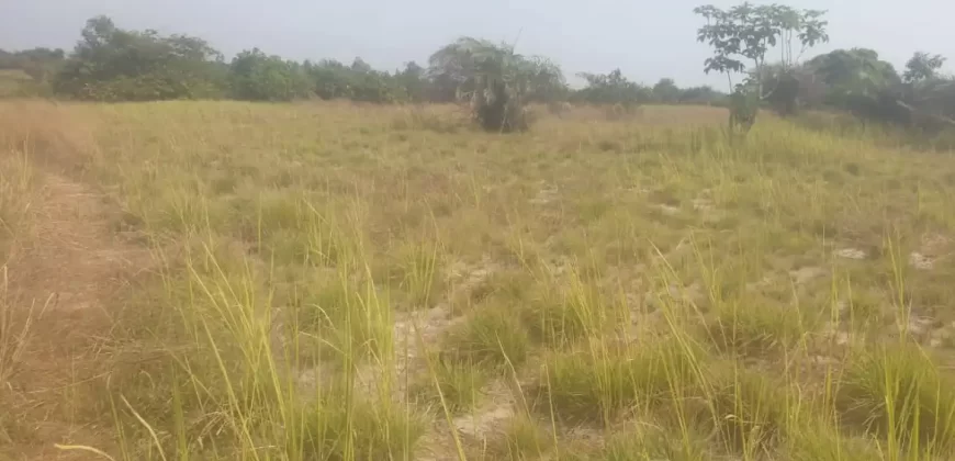 12 Acres of Dry Land Near Marshall. #116