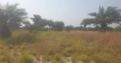 12 Acres of Dry Land Near Marshall. #116