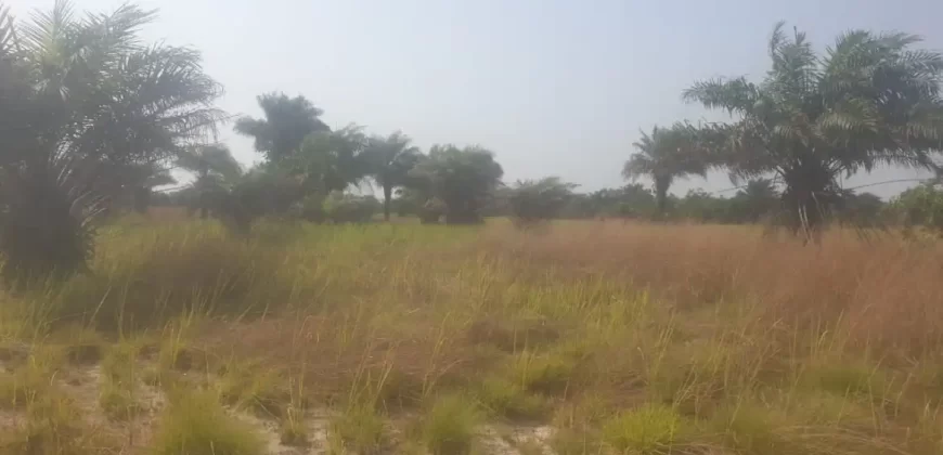 12 Acres of Dry Land Near Marshall. #116