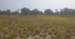 12 Acres of Dry Land Near Marshall. #116