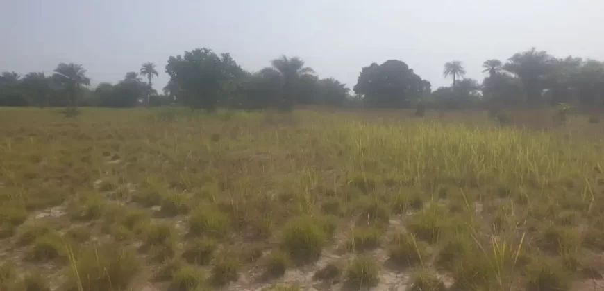 12 Acres of Dry Land Near Marshall. #116