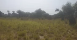 12 Acres of Dry Land Near Marshall. #116