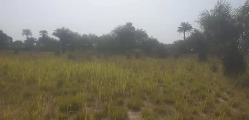 12 Acres of Dry Land Near Marshall. #116