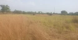 12 Acres of Dry Land Near Marshall. #116