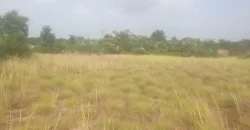 12 Acres of Dry Land Near Marshall. #116