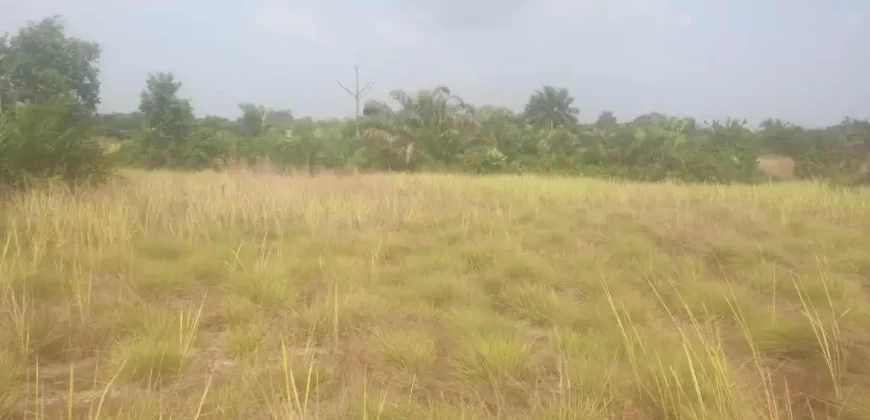 12 Acres of Dry Land Near Marshall. #116